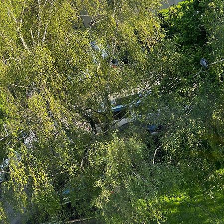 Joli, Spacieux, Lumineux Proche Paris Et Orly Villejuif Extérieur photo