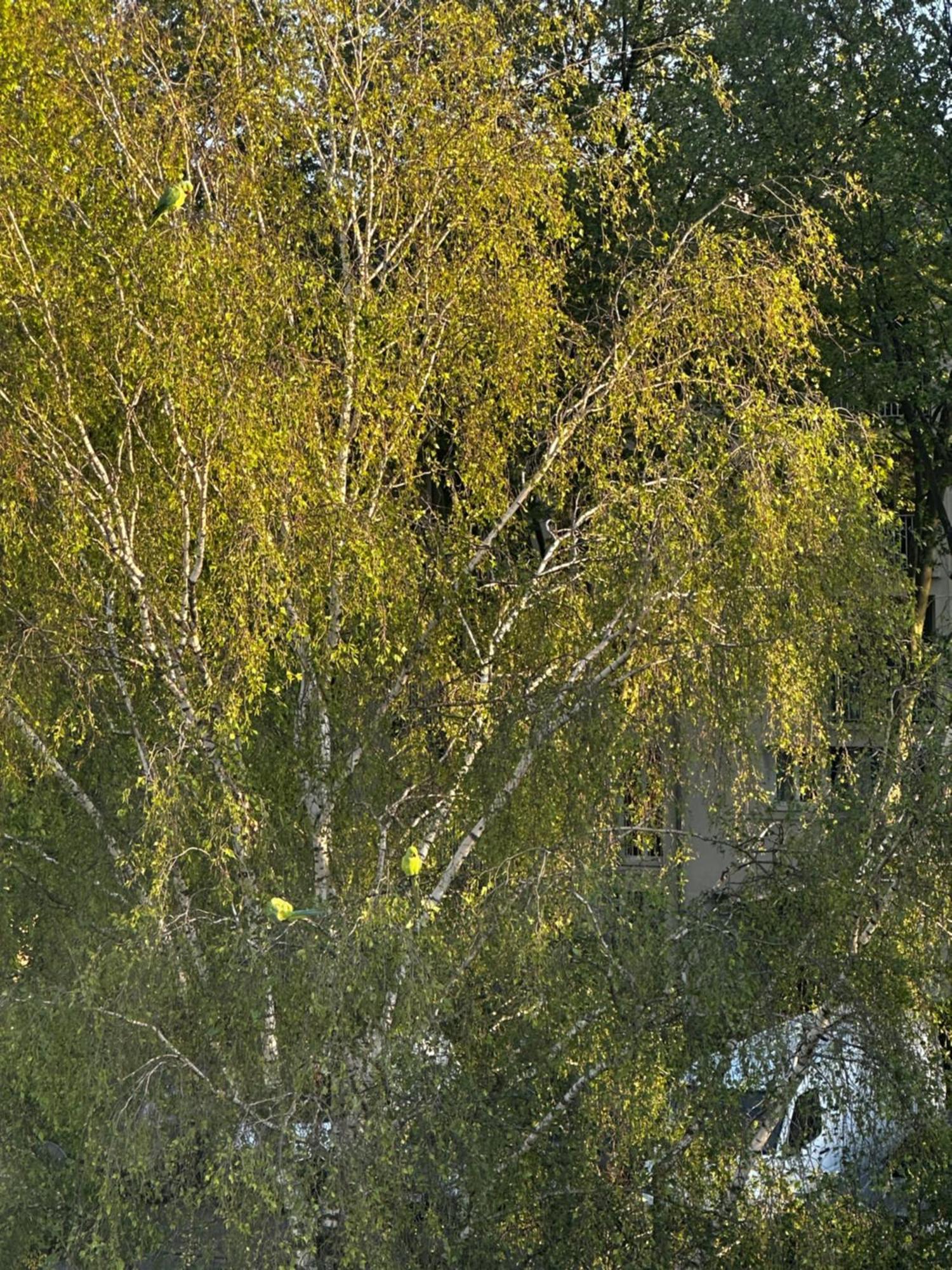 Joli, Spacieux, Lumineux Proche Paris Et Orly Villejuif Extérieur photo